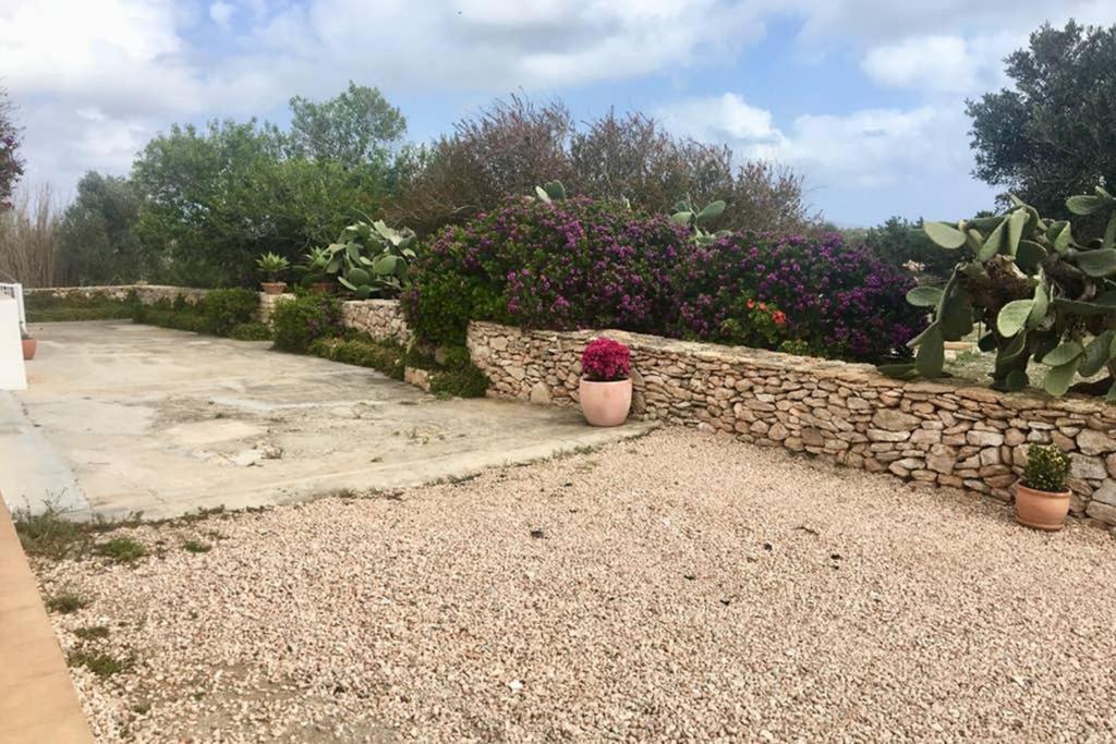 Casa Rural Es Cap De Barbaria San Francisco Javier Exterior foto
